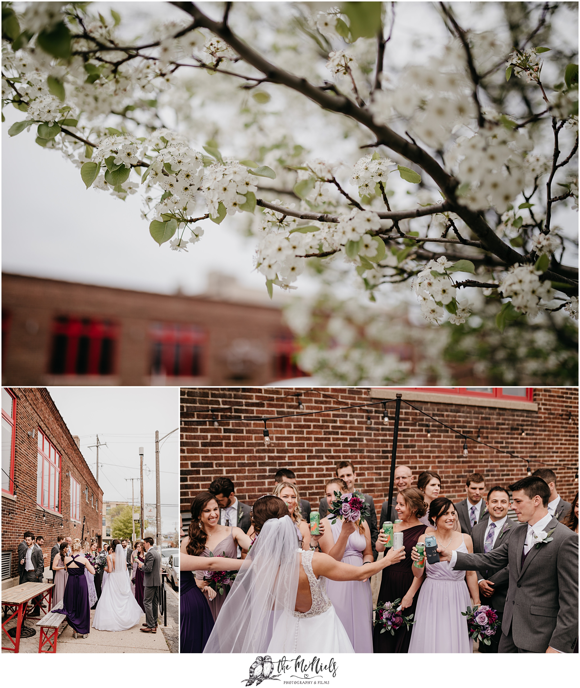 Anodyne Milwaukee Wedding